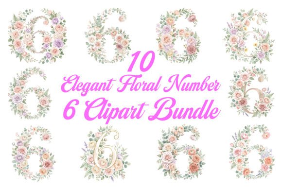 Elegant Floral Number 6 Clipart Bundle: Graphics & Illustrations